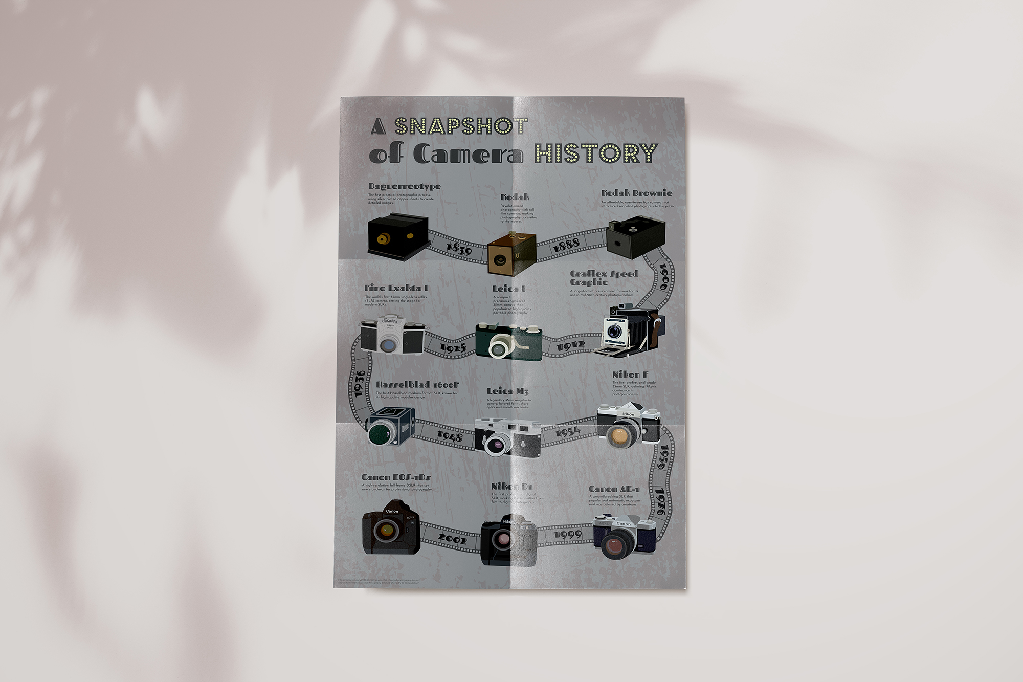 Camera Infographic Image 2