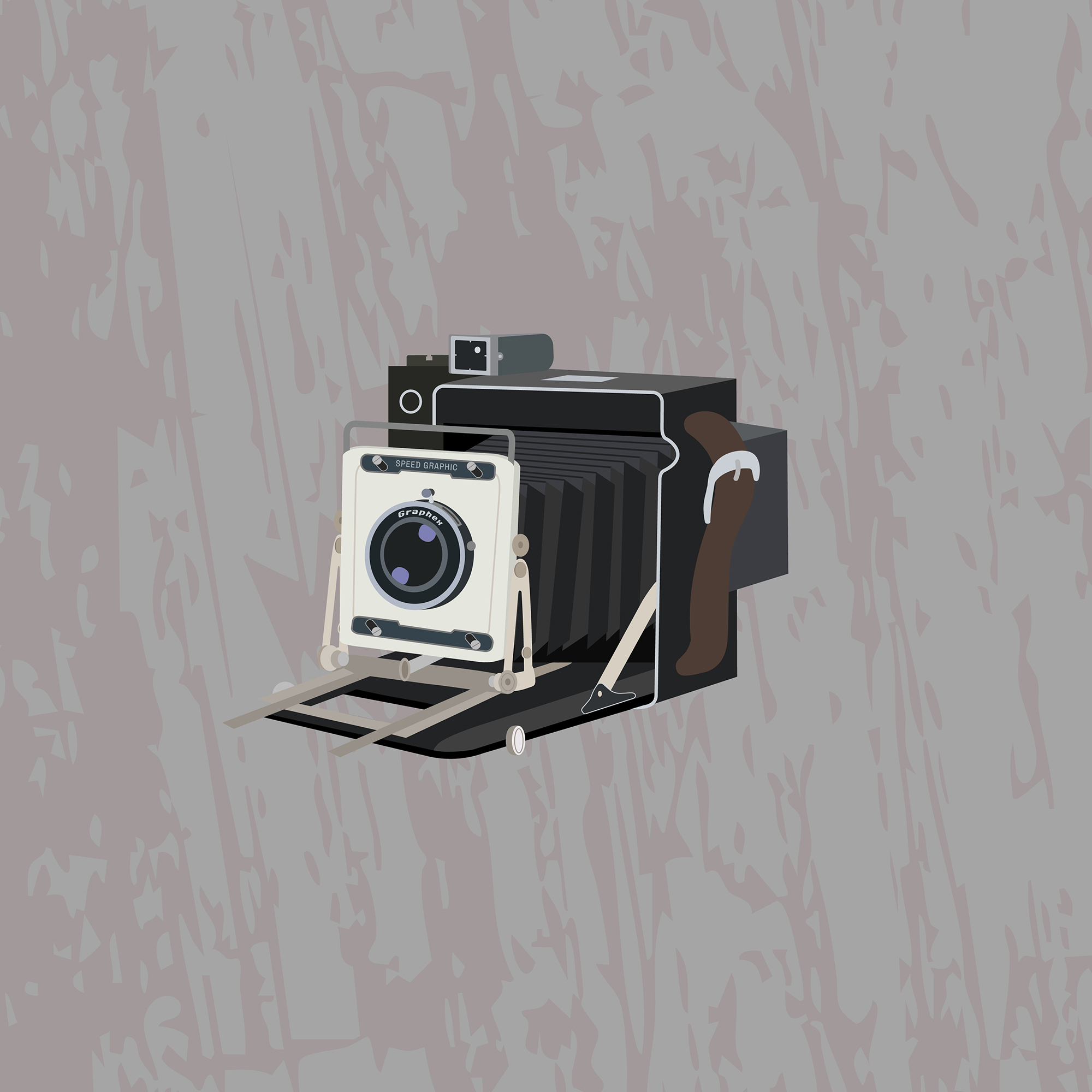 Camera Infographic Image 3