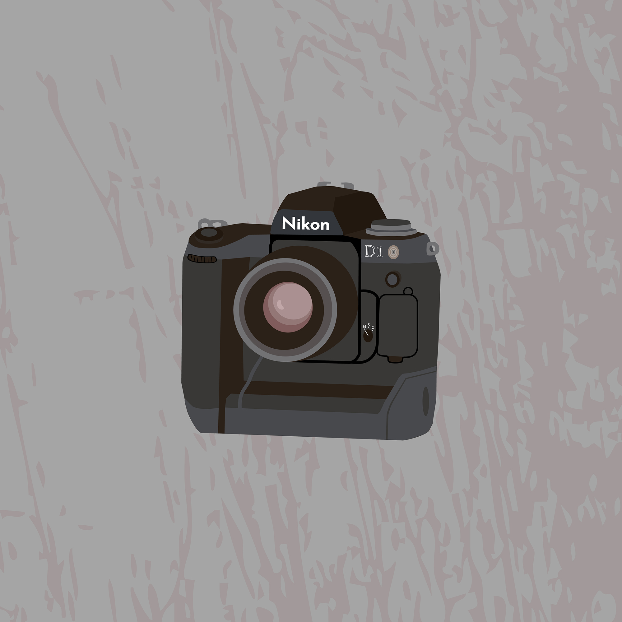 Camera Infographic Image 4